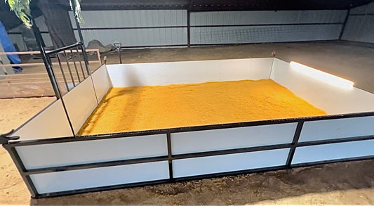 Viewing/Picturing Pen Set